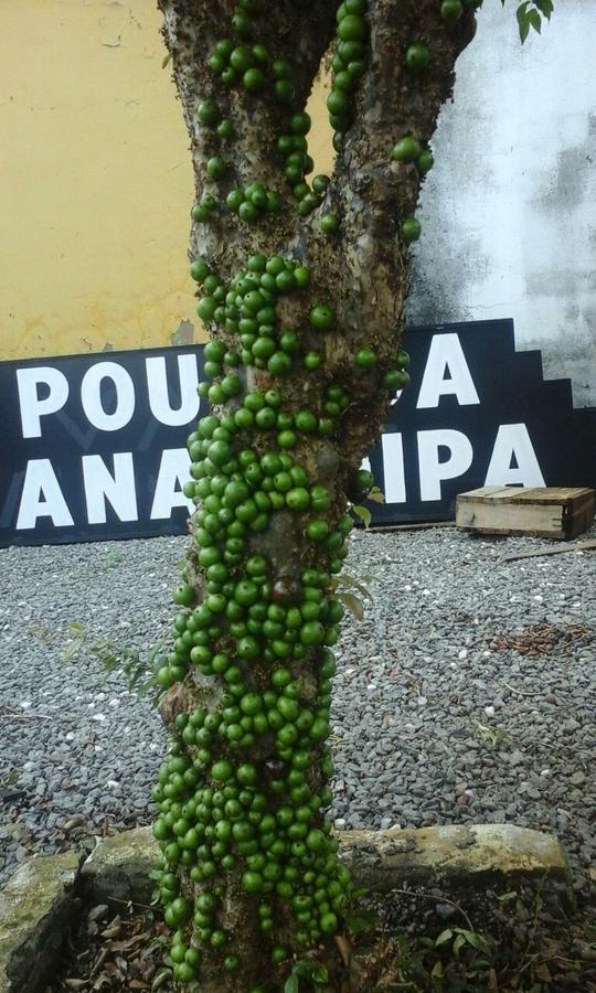 Hotel Pousada Ana Poipa Goiânia Exterior foto